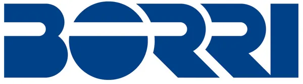 Borri UPS logo – 01 Electronics