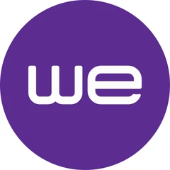 Telecom Egypt logo – 01 Electronics client
