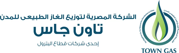 Town Gas logo – 01 Electronics client